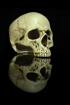 Human skull isolated on black background