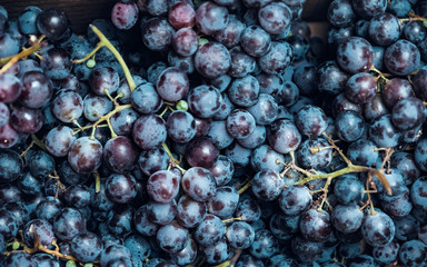 Red wine grapes background