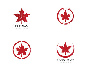 Maple leaf logo template vector icon illustration design 