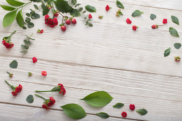 red flowers with leaves on white wooden background