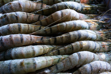 Close up of fresh raw frozen glazing black tiger shrimps plased in row packing in box. Food background. Food ingredients.