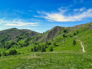 Meadows at Col d' Allos