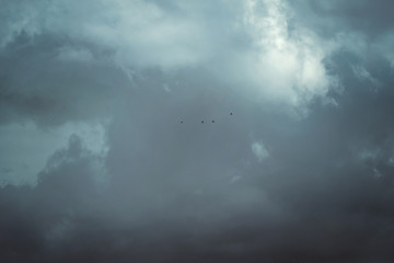 Obraz na płótnie Canvas Flock of birds in stunning sky with big dark clouds
