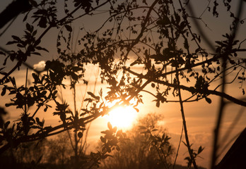 licht als lebenskraft