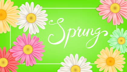 Fototapeta na wymiar Spring banner. Hand drawn lettering. Background with chamomile, daisy. Spring Time template, flyer, posters, brochure. Happy spring Day. Fashionable styling. Flower vector isolated