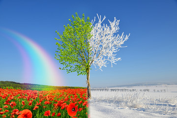 Winter and spring landscape with blue sky.  Concept of change season. 