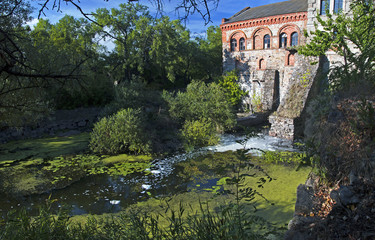 Fototapeta na wymiar Mill on the river among green plants