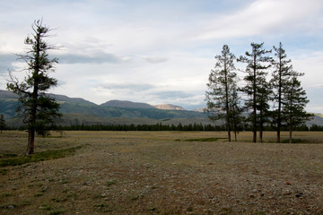 Kurai valley in Altay