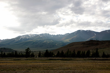 Kurai valley in Altay