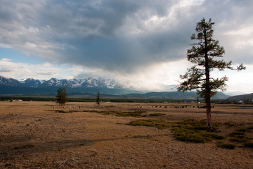 Kurai valley in Altay