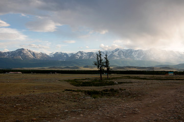 Fototapeta na wymiar Kurai valley in Altay