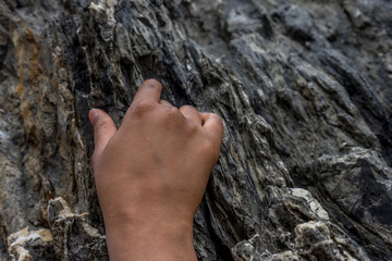 Italy, Cinque Terre, Manarola, a close up of a rock