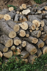 A pile of wooden logs in the countryside lies in the yard