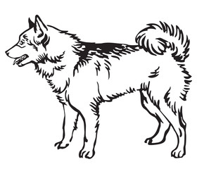 Decorative portrait of Dog Finnish Spitz vector illustration
