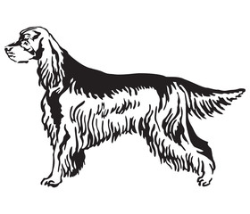 Decorative portrait of Dog Gordon Setter vector illustration