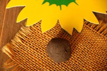 samenkugel wildblumen bienennahrung
