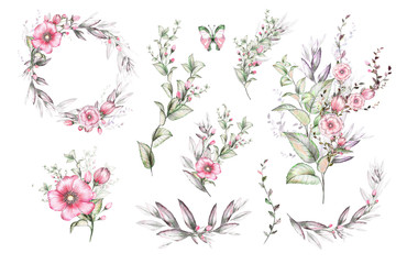 Watercolor drawing of twig with leaves and flowers. Botanical illustration .An arrangement of pink flowers and colorful leaves. A set of floral elements. - 253039809