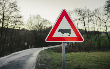 Image - Cow traffic european sign (red triangle) with curved road, green meadow and field on background on sunset. Beware of the cow. A warning sign with cattle on european road symbol.
