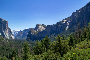 Obraz premium View of the Yosemite Valley into the valley. Yosemite National Park, California