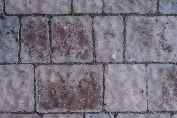texture tile with moss