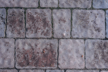 texture tile with moss