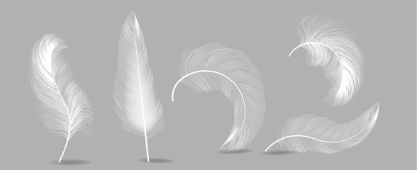 White Feathers Set Vector. Insomnia, Healthy Sleep, Dreams Concept. Isolated Illustration