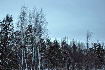 The Church among the trees
