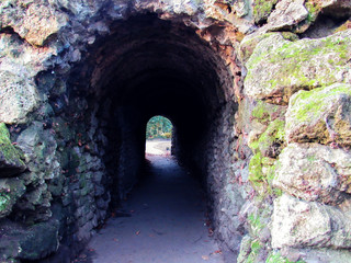 A tunnel in the park