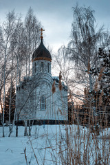 The Church among the trees