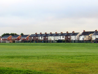 houses on a green field