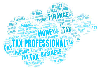 Tax Professional word cloud.
