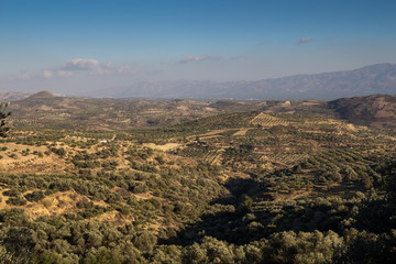 Fototapeta na wymiar Landscape of agricultura central Crete