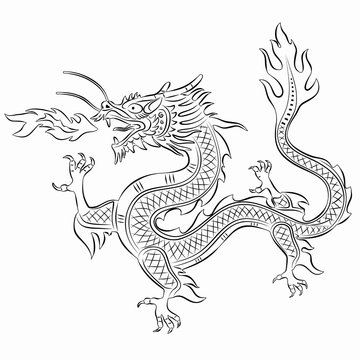 illustration of chinese dragon , vector draw