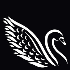 Obraz premium beautiful white swan on a black background, head with a curved neck and a wing