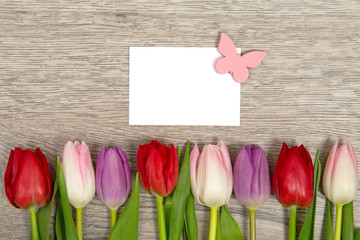 Tulpen und Karte