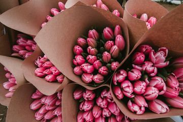 Beautiful bouquet of pink Tulips, spring flowers grown in a greenhouse.Spring flowers and floriculture. Selective focus
