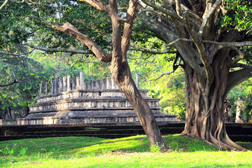 Ruins of ancient Sinhalese parliament, Polonnaruwa, Sri Lanka