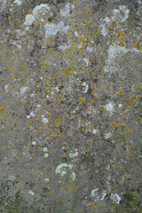Gravestone texture