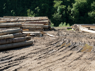 Sawmill in the forest.