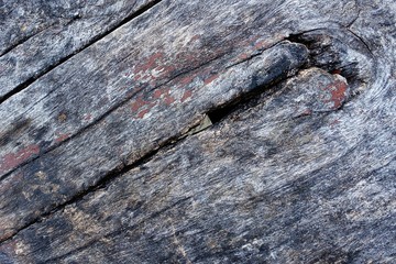 Large Piece Of Driftwood