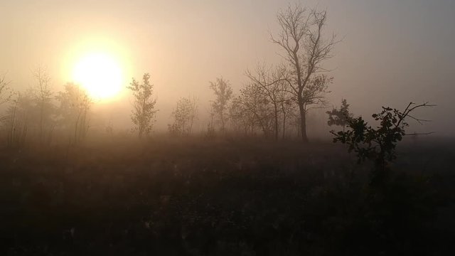  flying in thick fog. Autumn near the river. atmosphere like blade runner 2