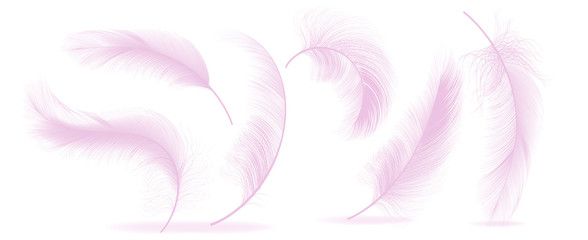 Pink Feathers Set Vector. Different Falling Fluffy Twirled Feathers. Healthy Sleep, Dreams. Isolated Illustration