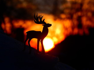 silhouette of deer on night background