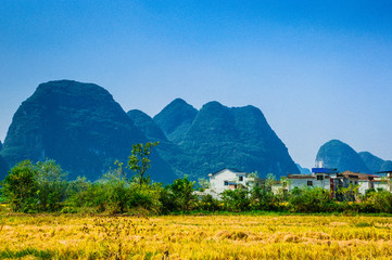 Rice fields and mountain scenery in fall  