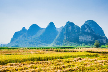 Fototapeta premium Rice fields and mountain scenery in fall 