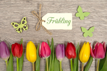 Tulpen und Karte: Frühling