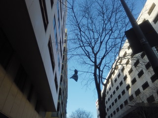 Street of Barcelona. Catalonia. Spain. Year 2014