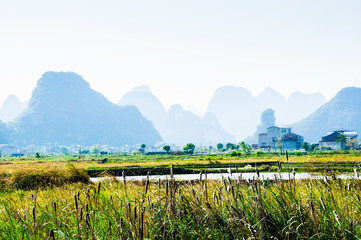 Rice fields and mountain scenery in fall 