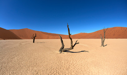 Deadvlei