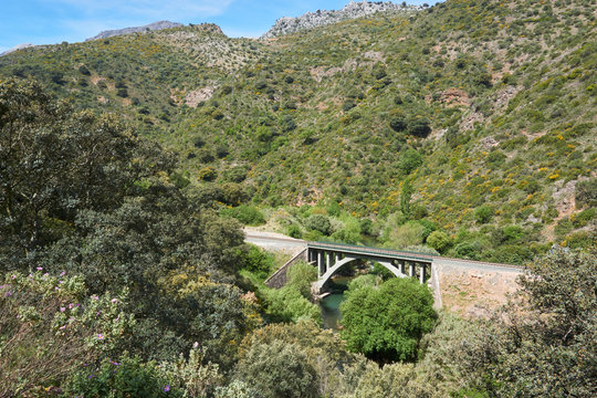 Bridge on the green route from Benaojan to Jimera de Libar. Malaga, Spain